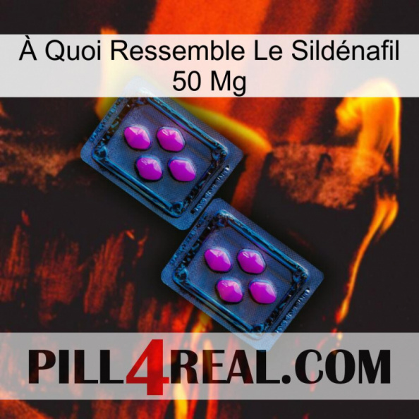 À Quoi Ressemble Le Sildénafil 50 Mg 03